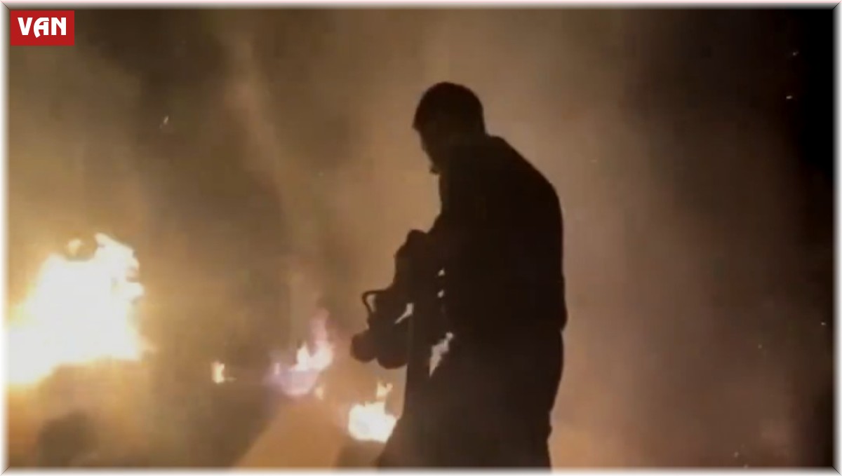 Van'da 2 bin 600 bağ ot alev alev yandı