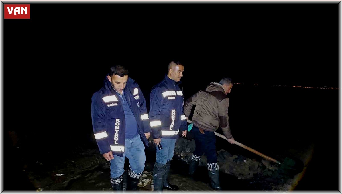 Van'da 2 ton inci kefali kurtarıldı