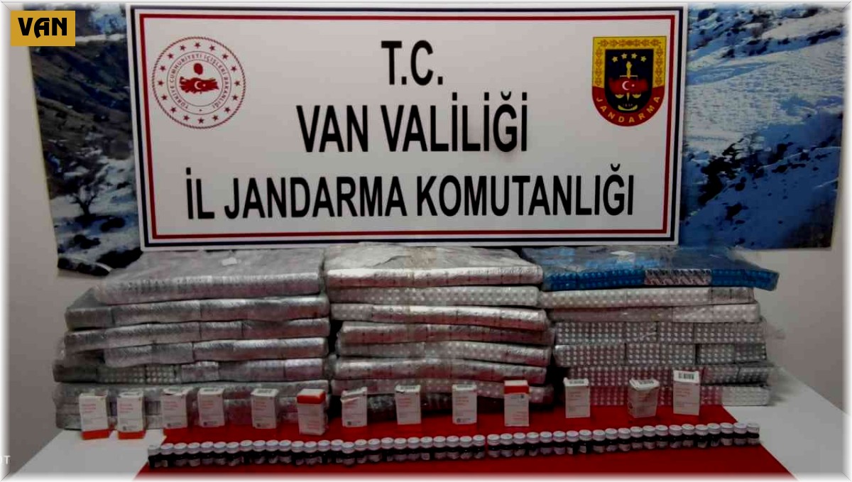 Van'da 243 bin 181 adet İran menşei tıbbi hap ele geçirildi
