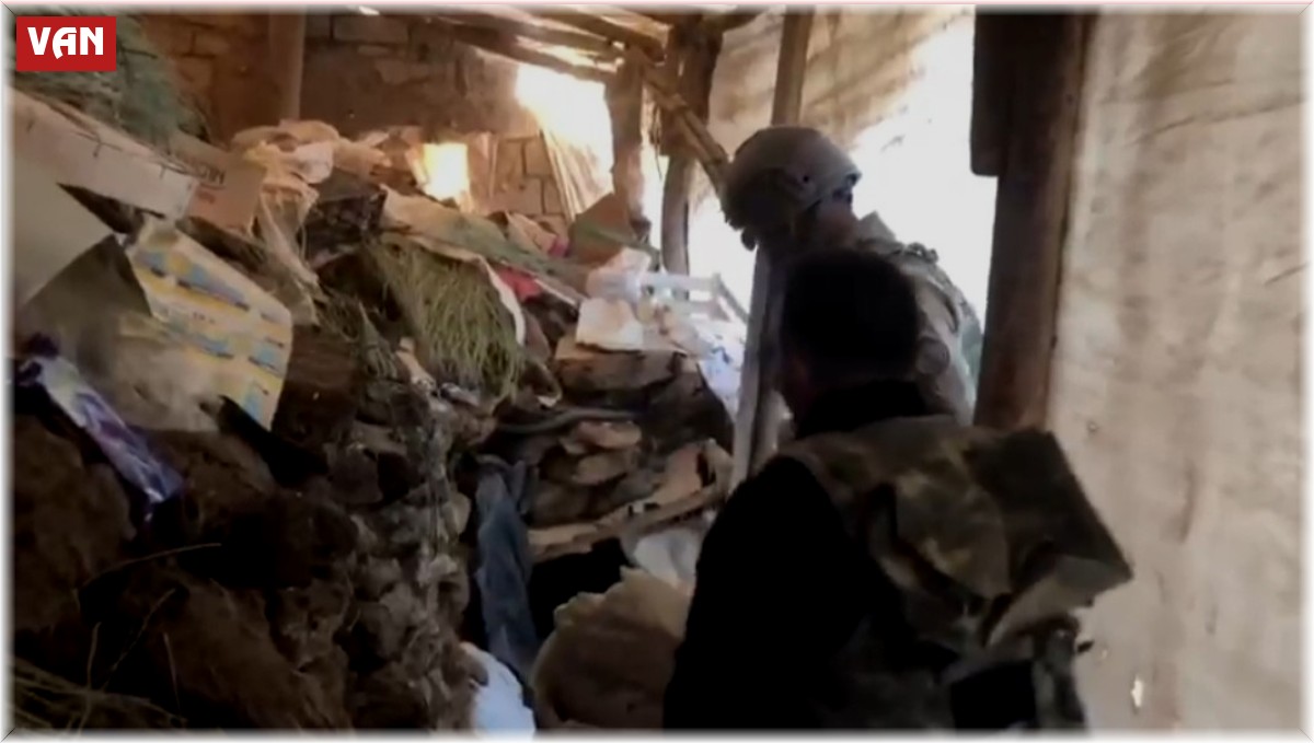 Van'da 25 düzensiz göçmen yakalandı