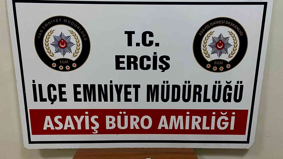 Van'da 25 kişi tutuklandı