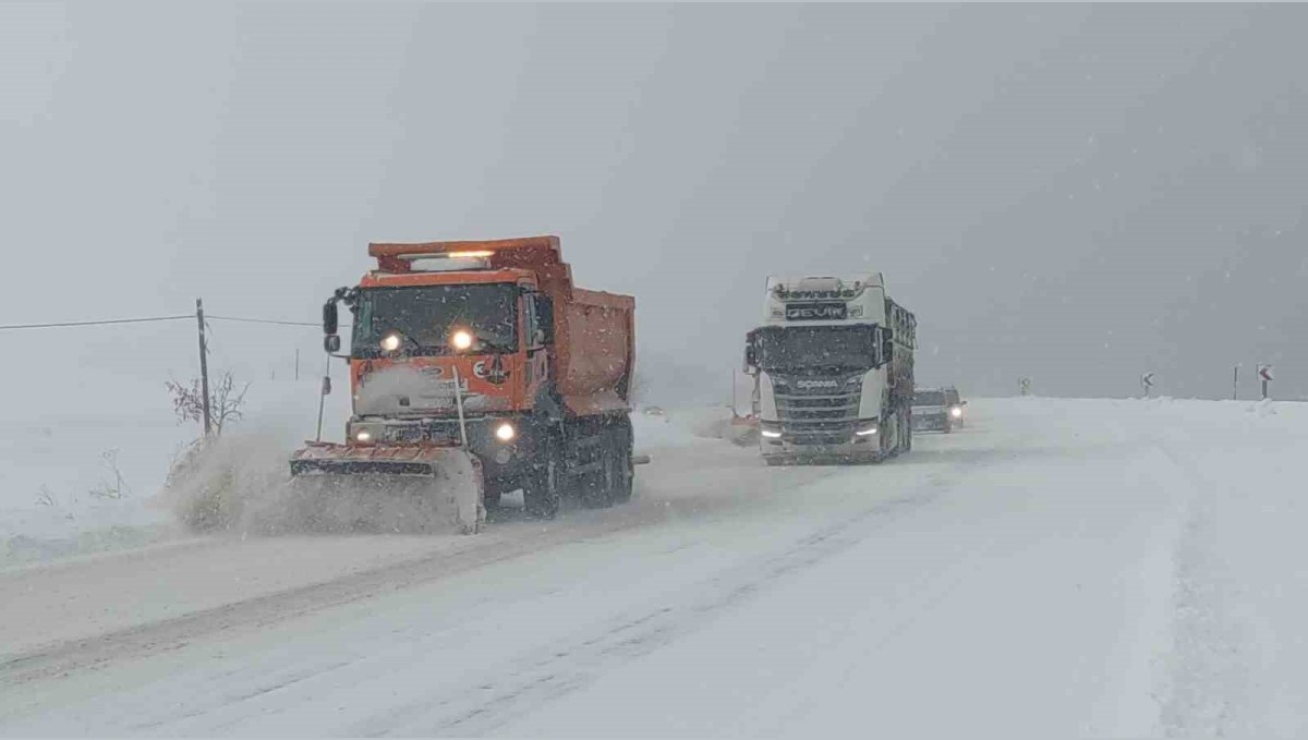 Van'da 266 yerleşim yerinin yolu kapalı