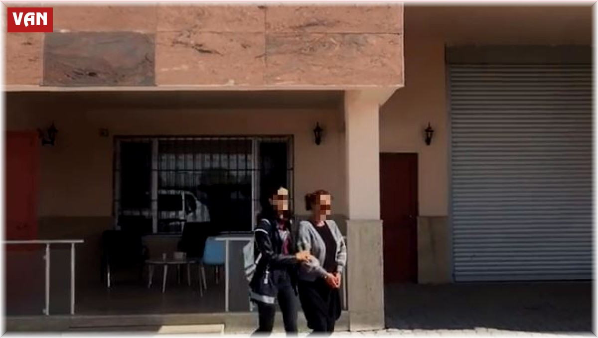 Van'da 3 organizatör tutuklandı