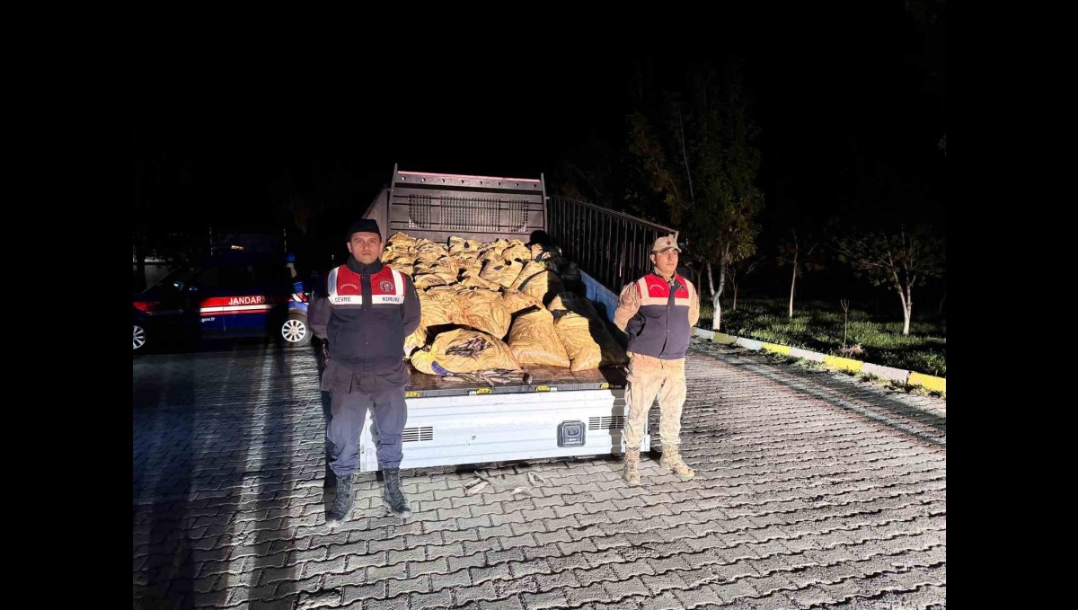 Van'da 3 ton 820 kilo kaçak avlanmış balık ele geçirildi