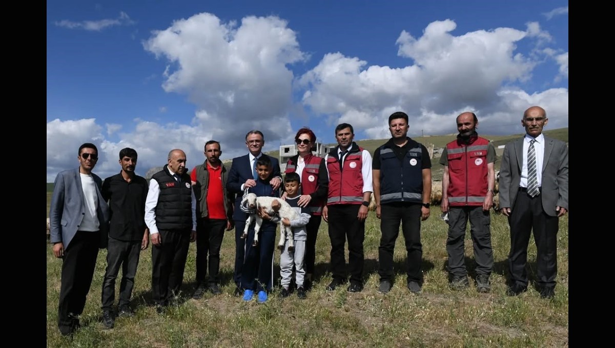 Van'da 3 yılda 2 bin 375 çiftçiye 235 bin koyun desteği verildi