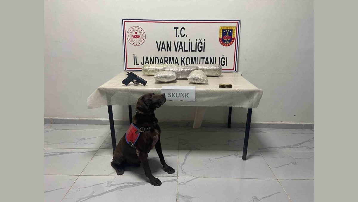 Van'da 4 kilo 311 gram skunk ve gümrük kaçağı malzeme ele geçirildi