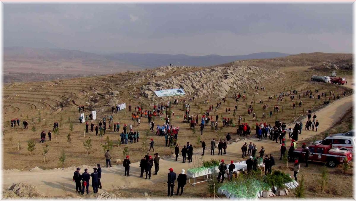 Van'da 40 bin ağaç toprakla buluşturuldu