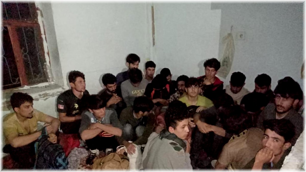 Van'da 43 düzensiz göçmen yakalandı