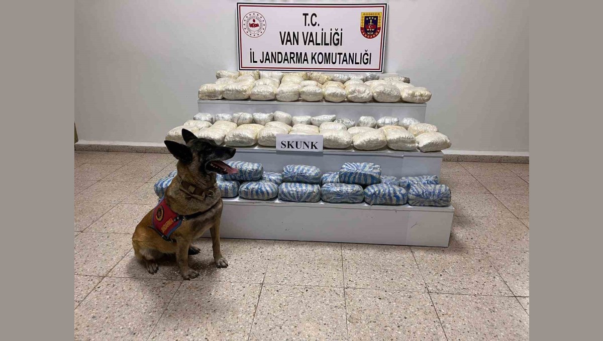Van'da 47 kilo skunk ele geçirildi