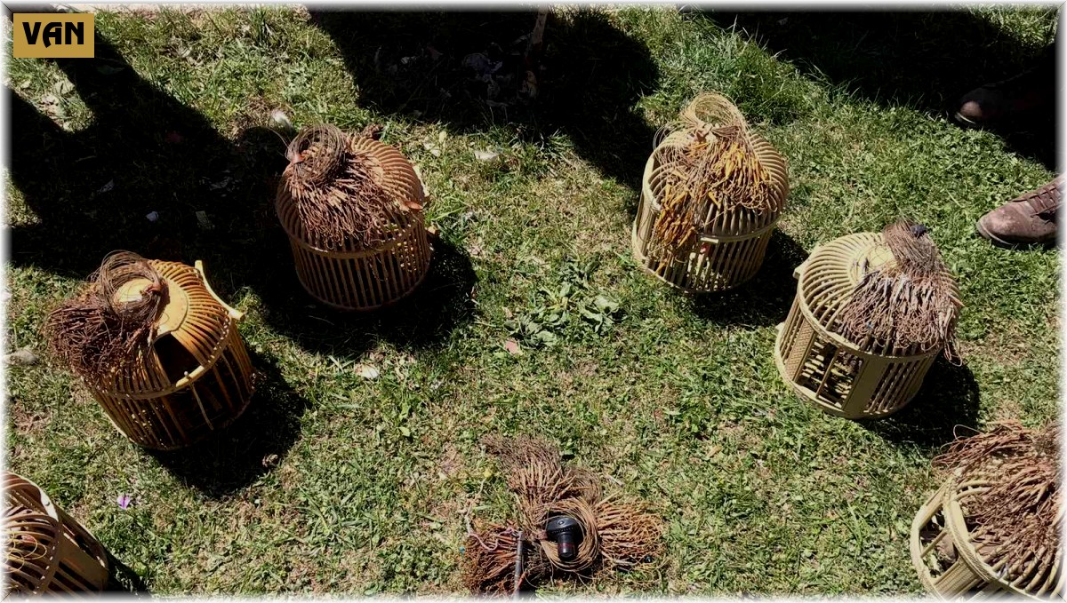 Van'da 5 kişiye 18 bin 900 TL para cezası verildi