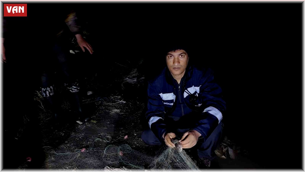 Van'da 500 kilogram inci kefali kurtarıldı