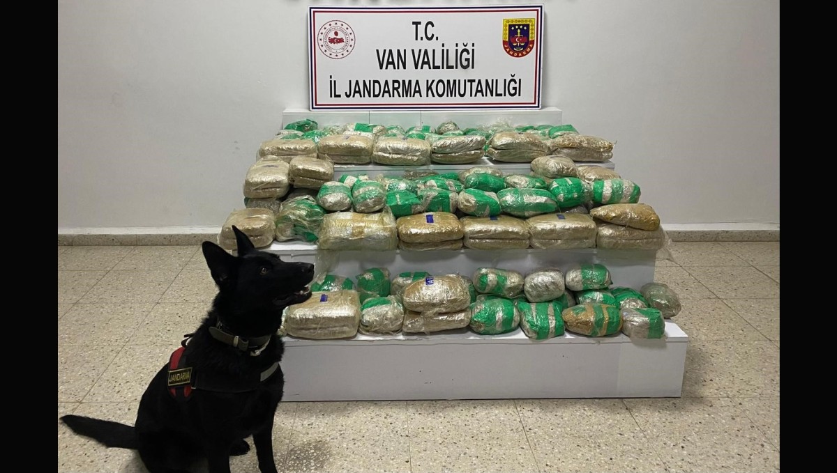 Van'da 51 kilo skunk ele geçirildi
