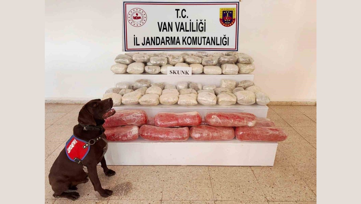 Van'da 61,9 kilogram skunk ele geçirildi