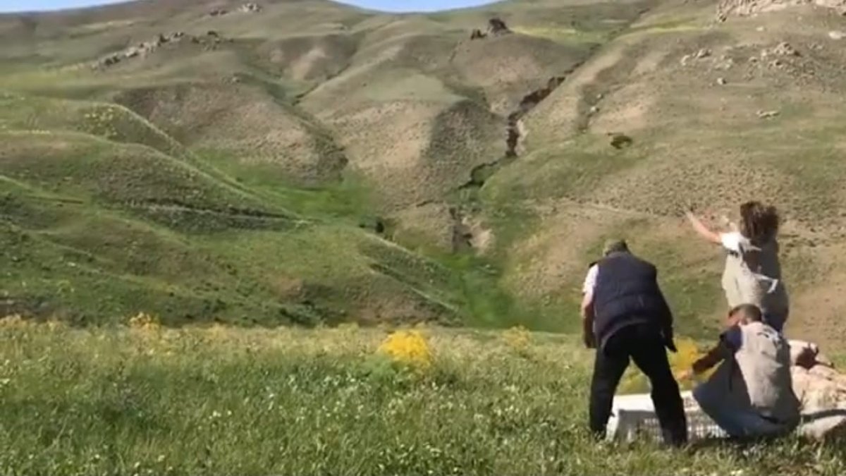 Van'da 625 keklik doğaya bırakıldı