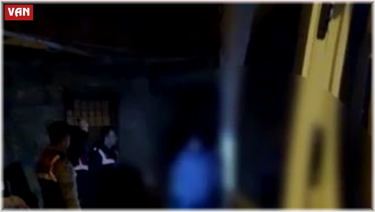 Van'da 66 düzensiz göçmen yakalandı