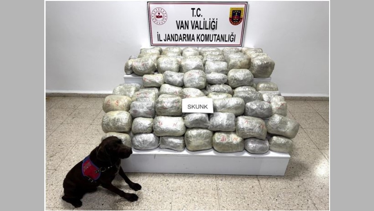 Van'da 70 kilo skunk madde ele geçirildi