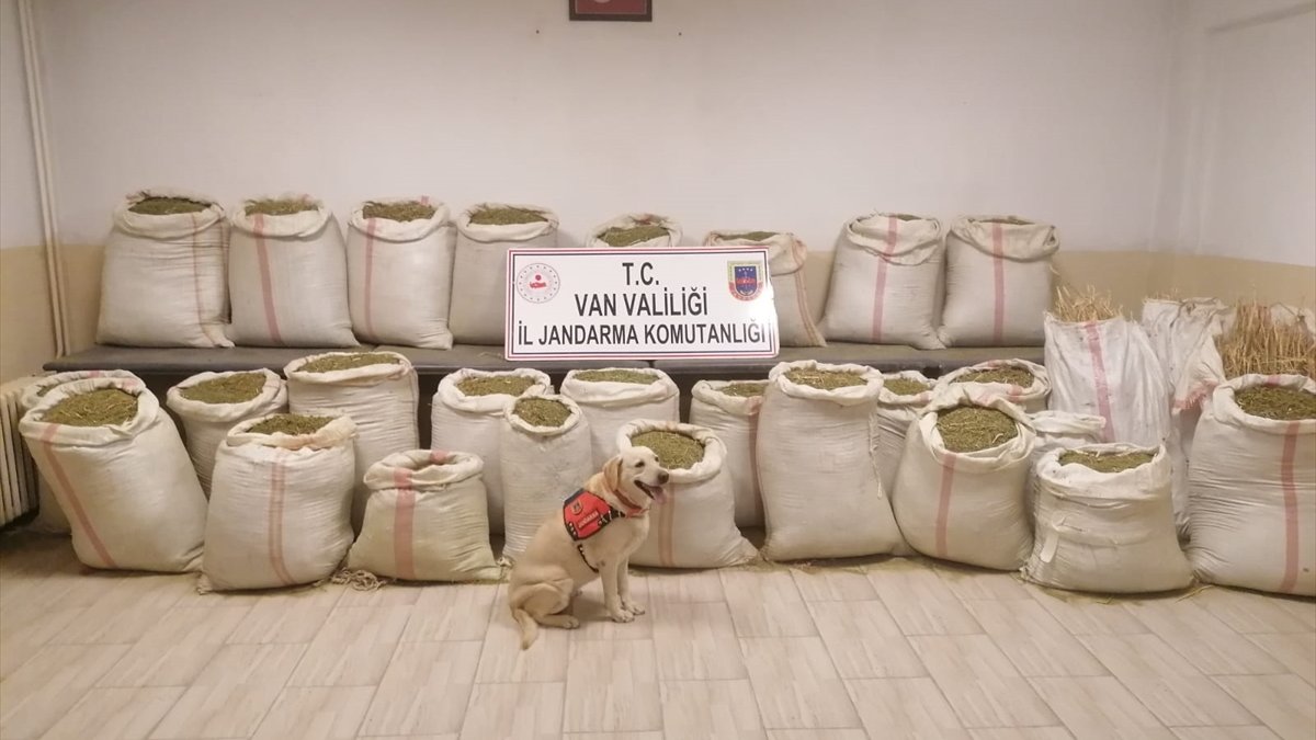 Van'da 732 kilogram esrar ele geçirildi