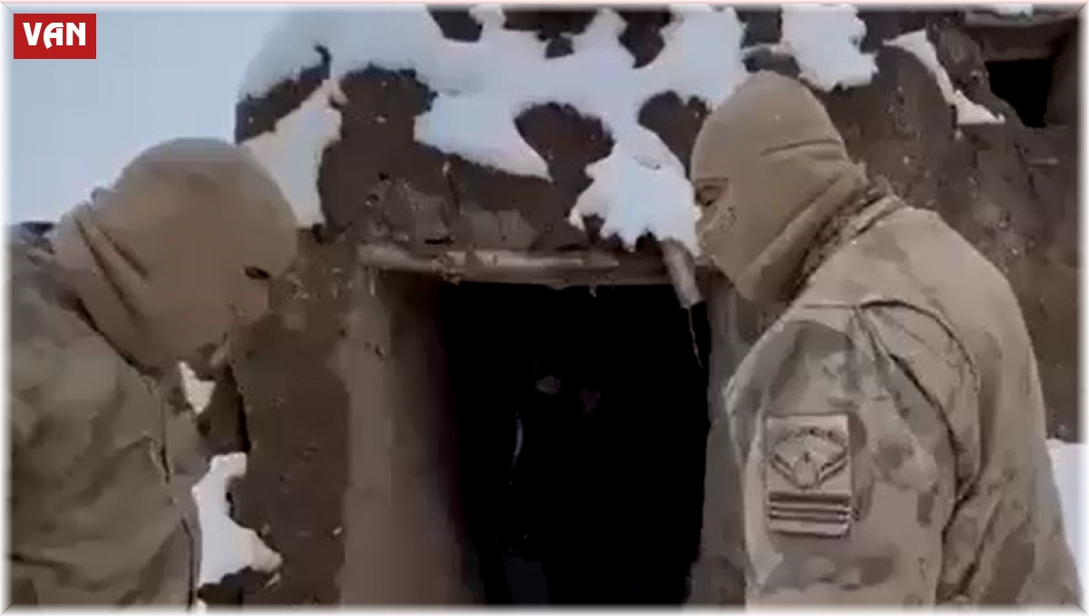 Van'da 86 düzensiz göçmen yakalandı