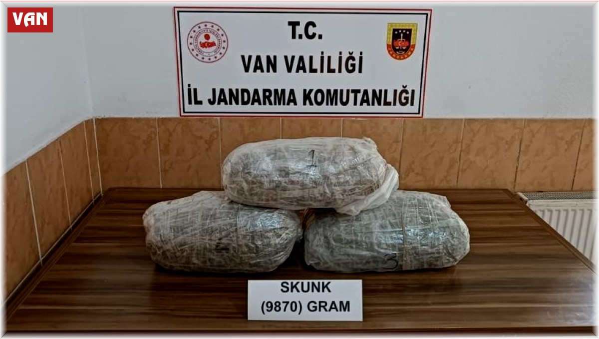 Van'da 9 kilo 870 gram skunk maddesi ele geçirildi