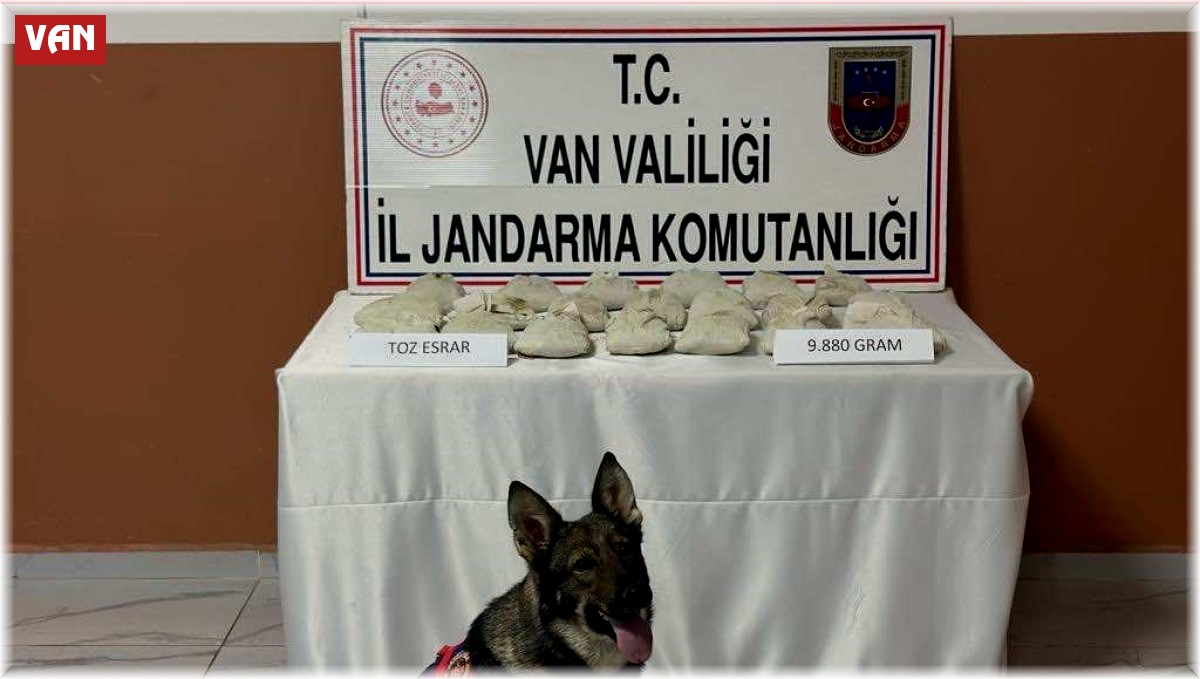 Van'da 9 kilo 880 gram toz esrar ele geçirildi