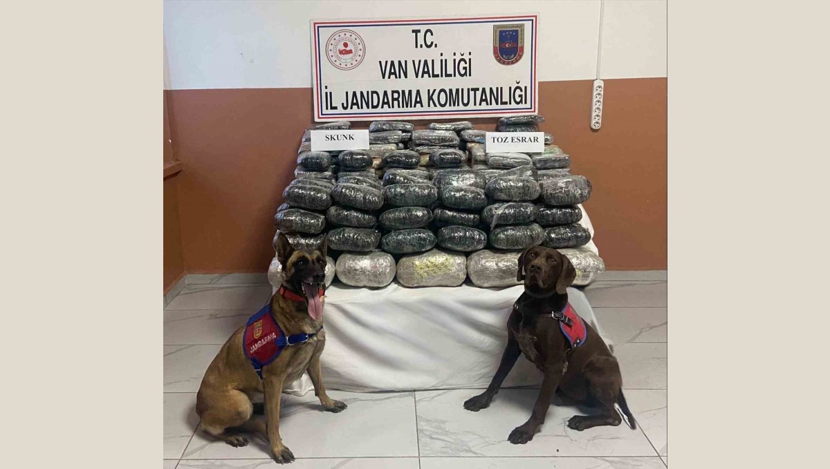 Van'da 90 kilo uyuşturucu ele geçirildi