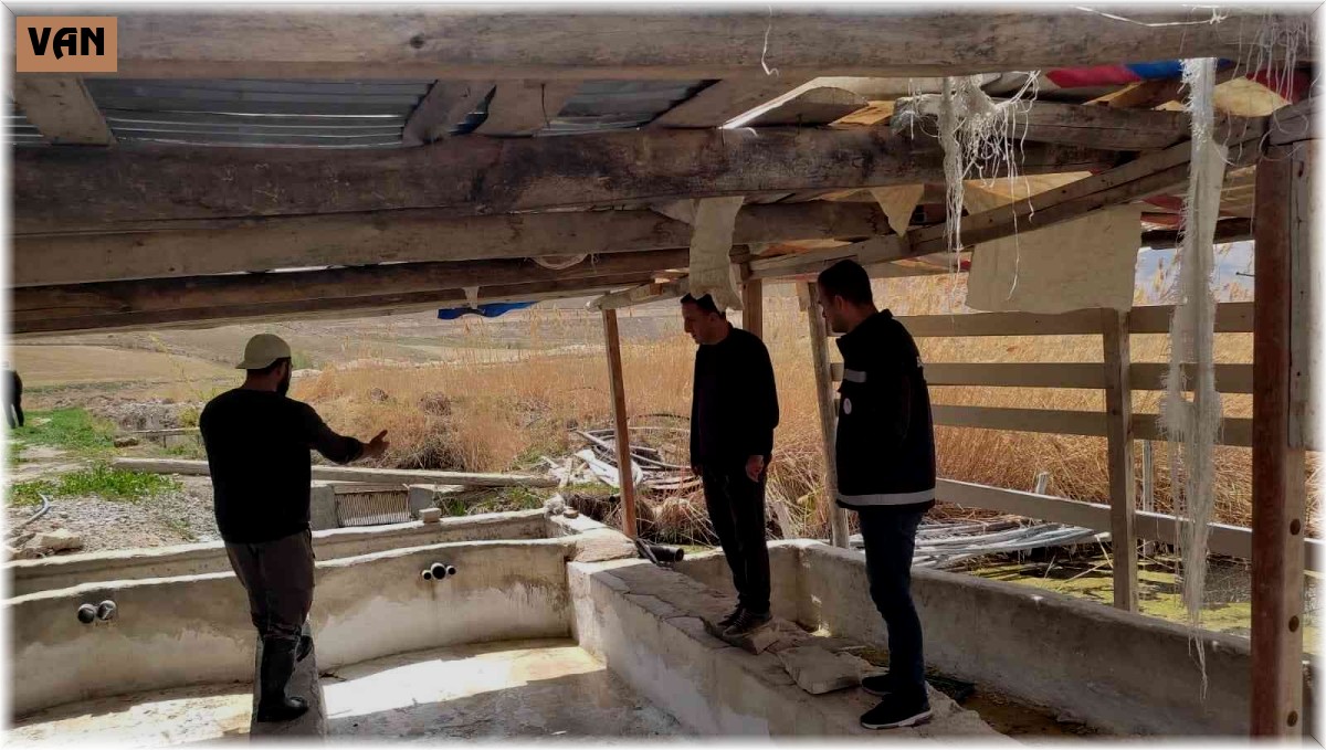 Van'da alabalık tesisleri denetleniyor