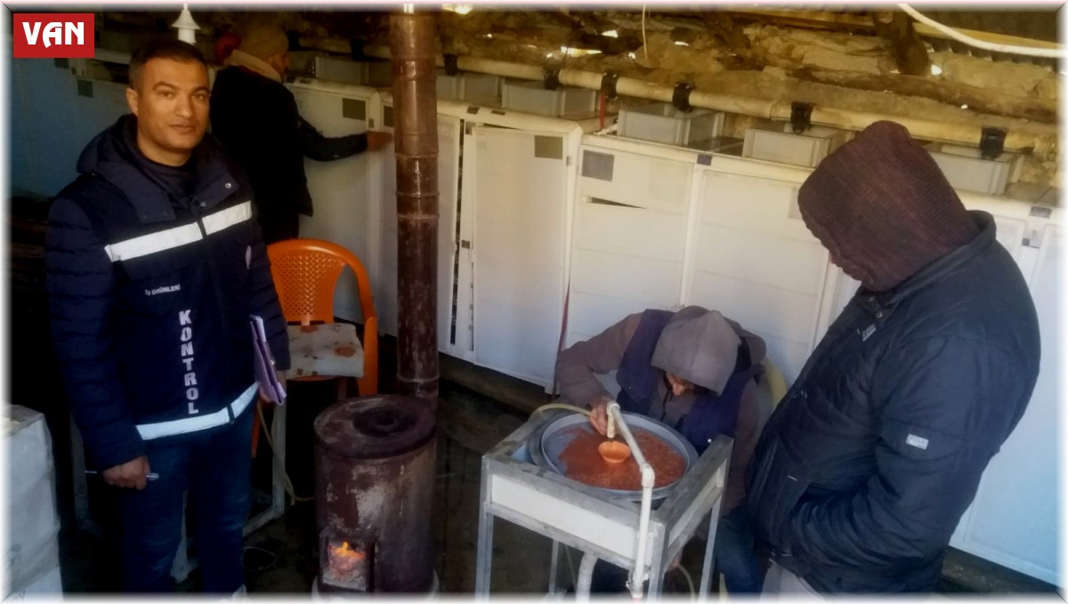 Van'da alabalık üretimi yapan tesisler denetlendi