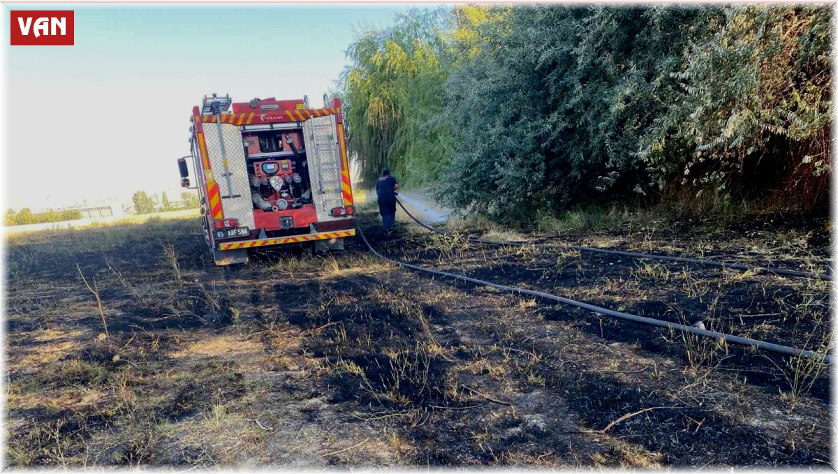 Van'da anız yangını