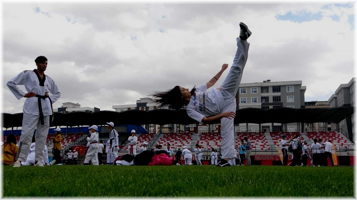 Van'da 'Avrupa Hareketlilik Haftası' etkinlikleri