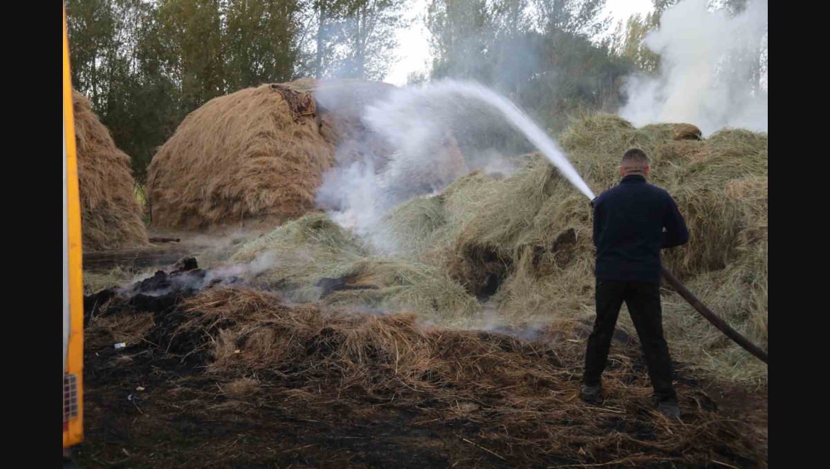 Van'da bin bağ ot yandı