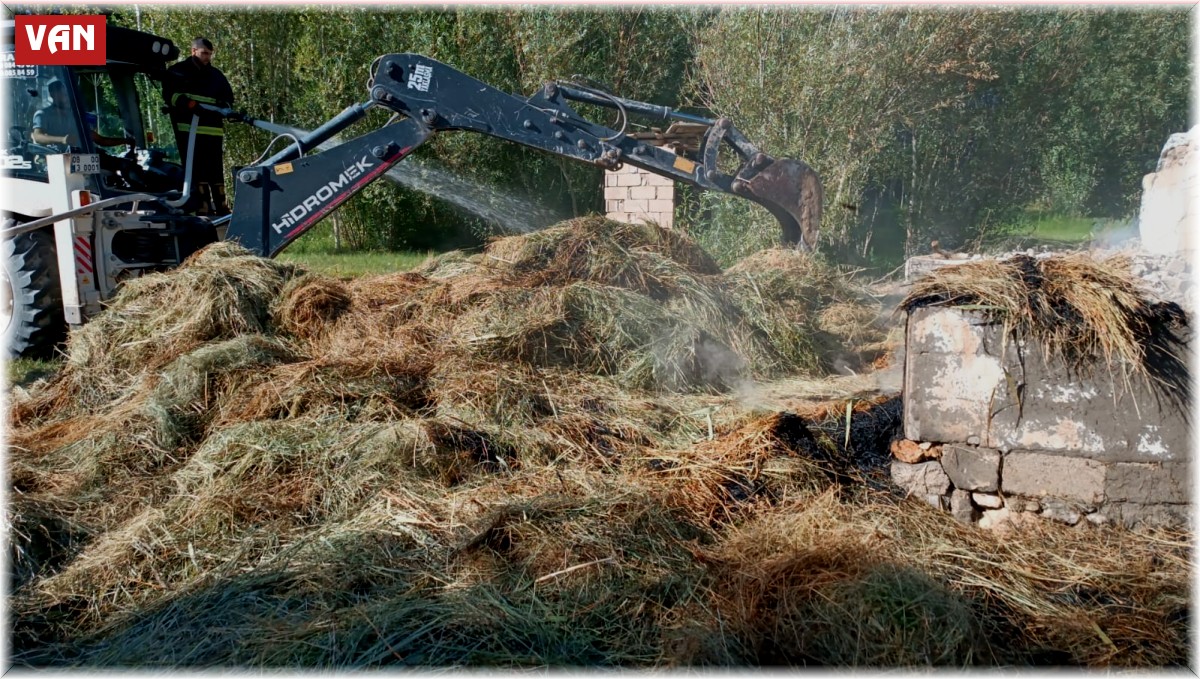 Van'da bin bağ ot yandı