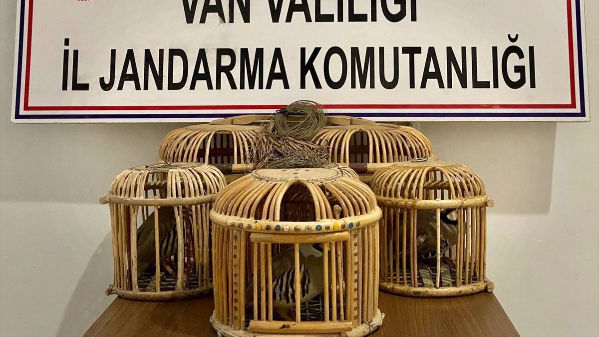 Van'da bir araçta 5 keklik ele geçirildi