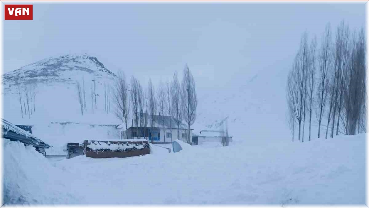 Van'da bir evin üzerine çığ düştü