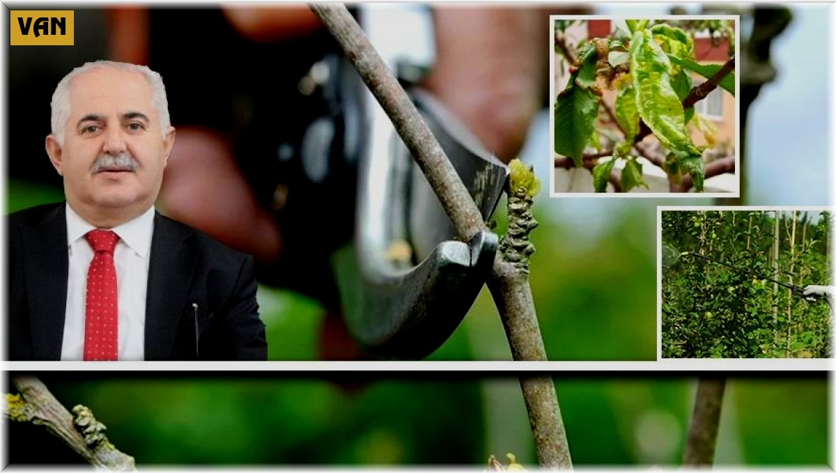 Van'da çiftçilere hastalık ve zararlılara karşı mücadele uyarısı