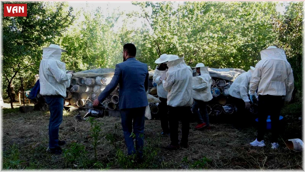 Van'da davullu zurnalı bal hasadı