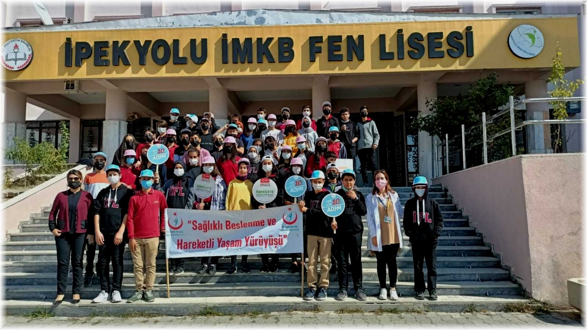 Van'da Dünya Yürüyüş Günü etkinliği