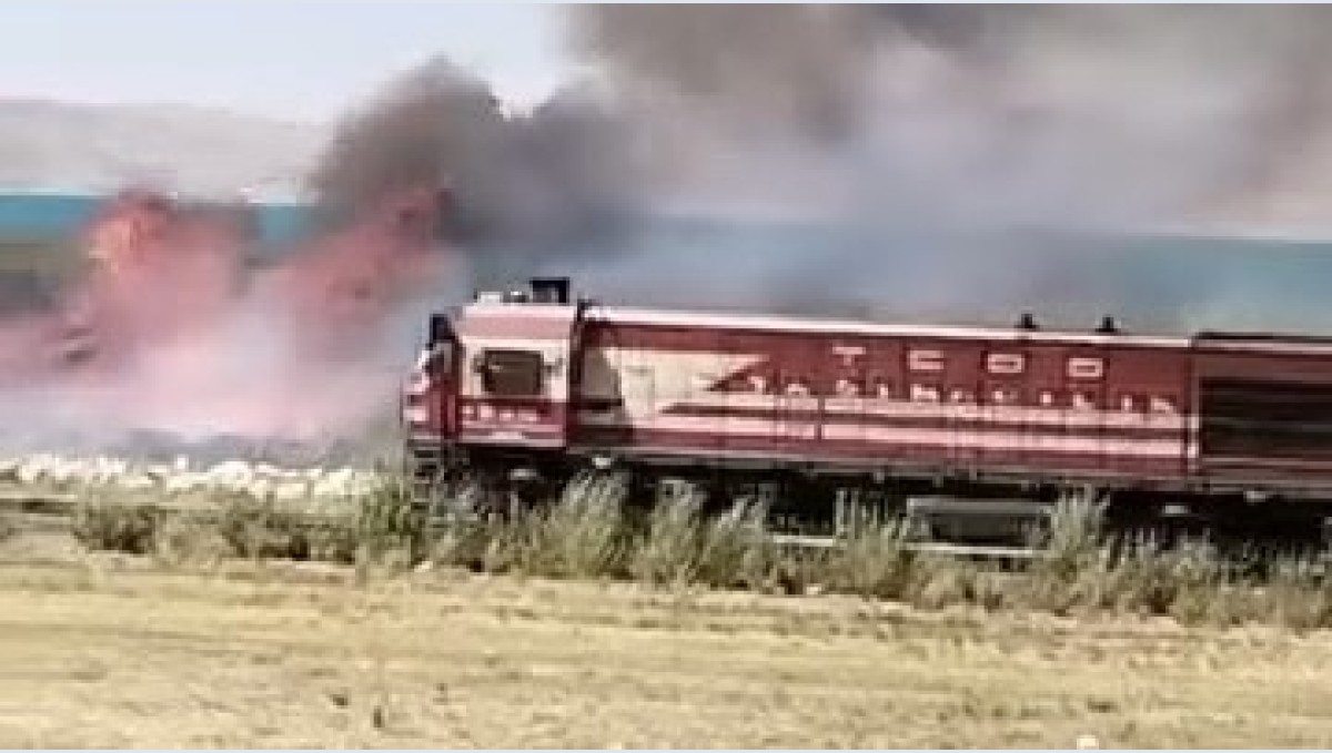 Van'da Erçek Gölü sazlıklarında yangın