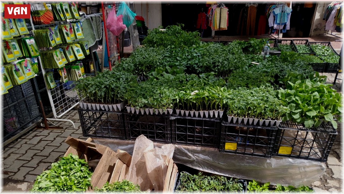 Van'da fide ve tohum satışları başladı