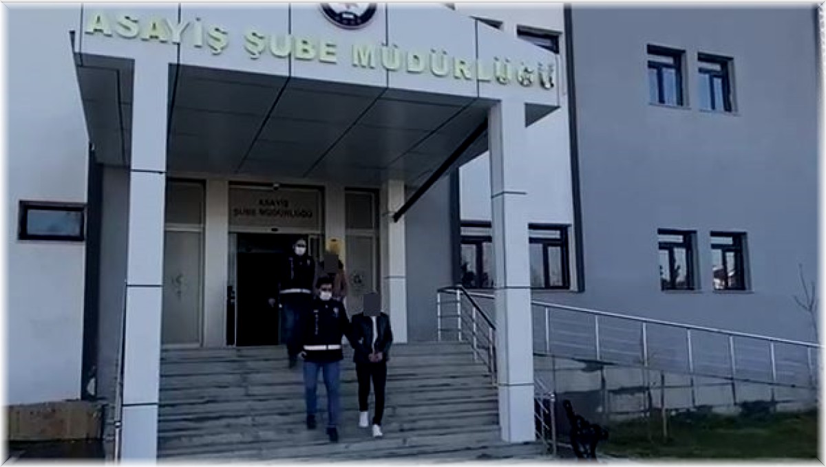 Van'da fuhuş operasyonu: 1 tutuklama