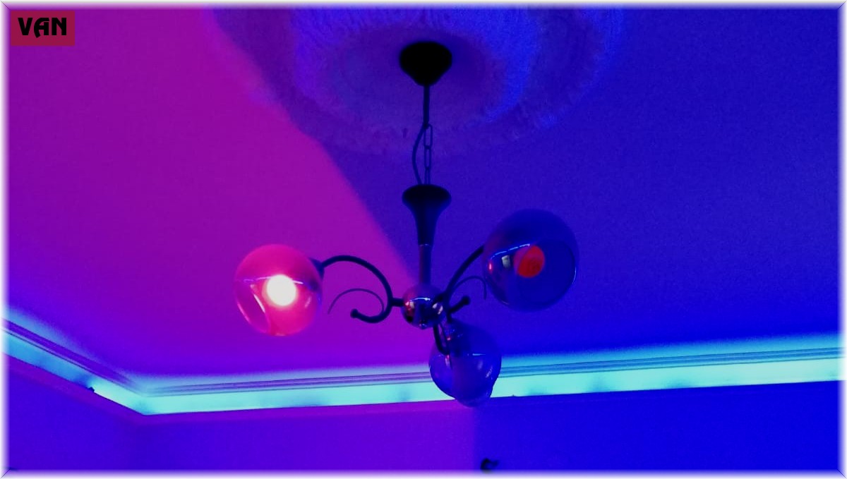 Van'da fuhuş operasyonu: 4 tutuklama