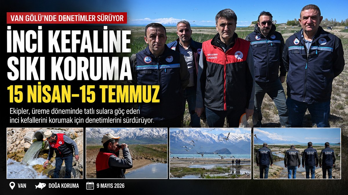 Van'da göç yolundaki inci kefali için denetimler sıklaştırıldı