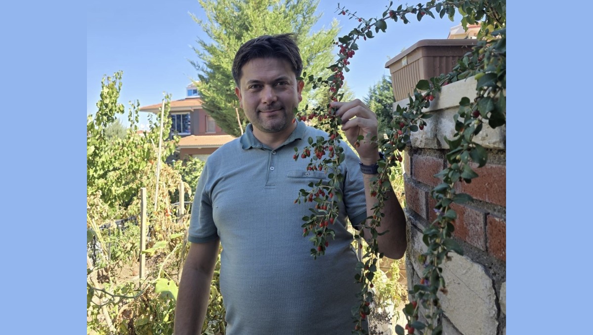 Van'da görevli doktor tropik meyve yetiştirdi