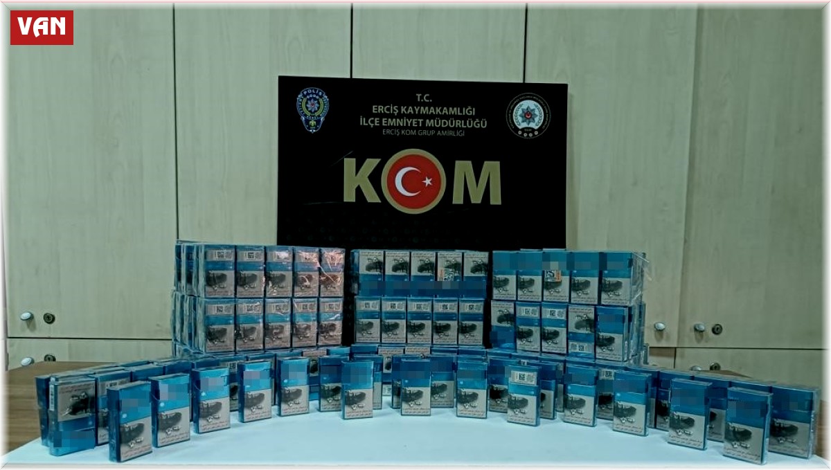 Van'da gümrük kaçakçılığı operasyonları