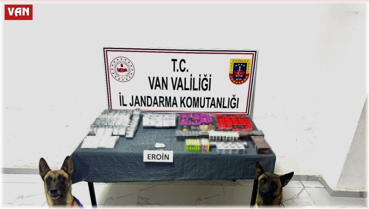 Van'da gümrük kaçakçılığı operasyonları