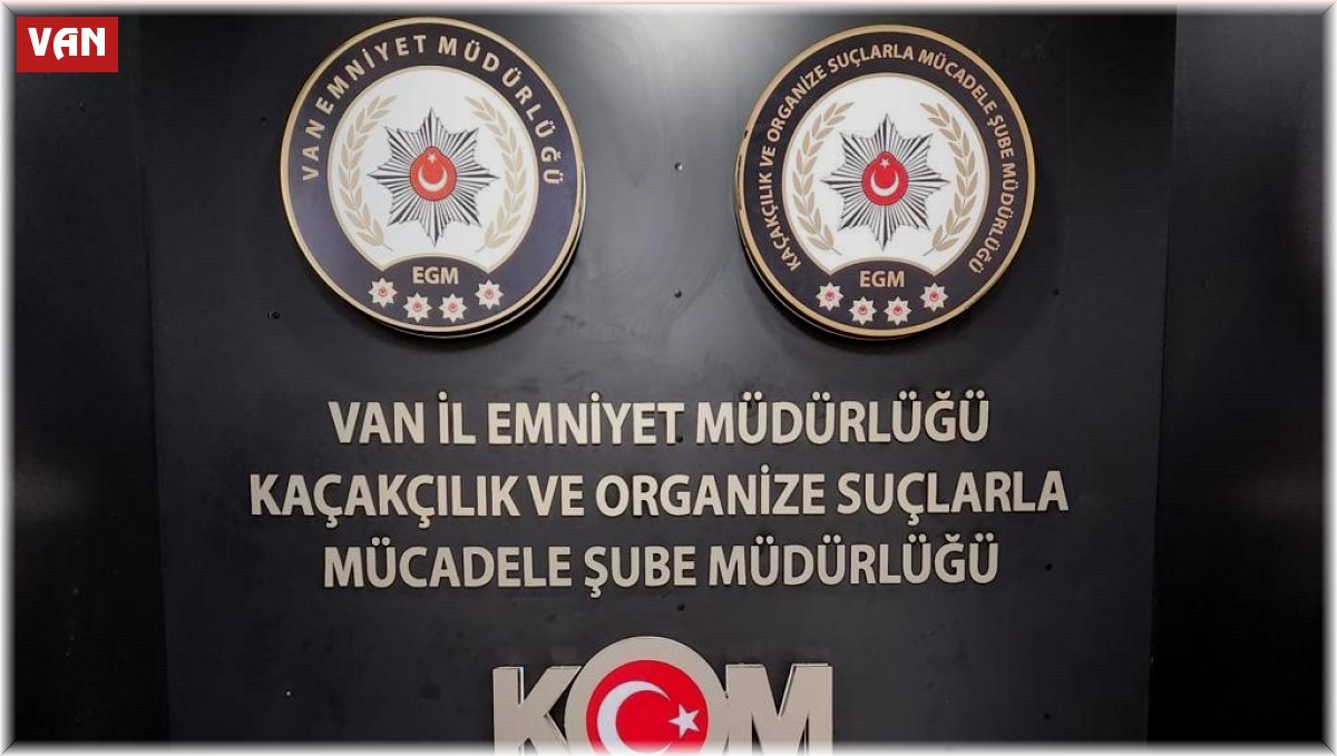 Van'da gümrük kaçakçılığı operasyonu