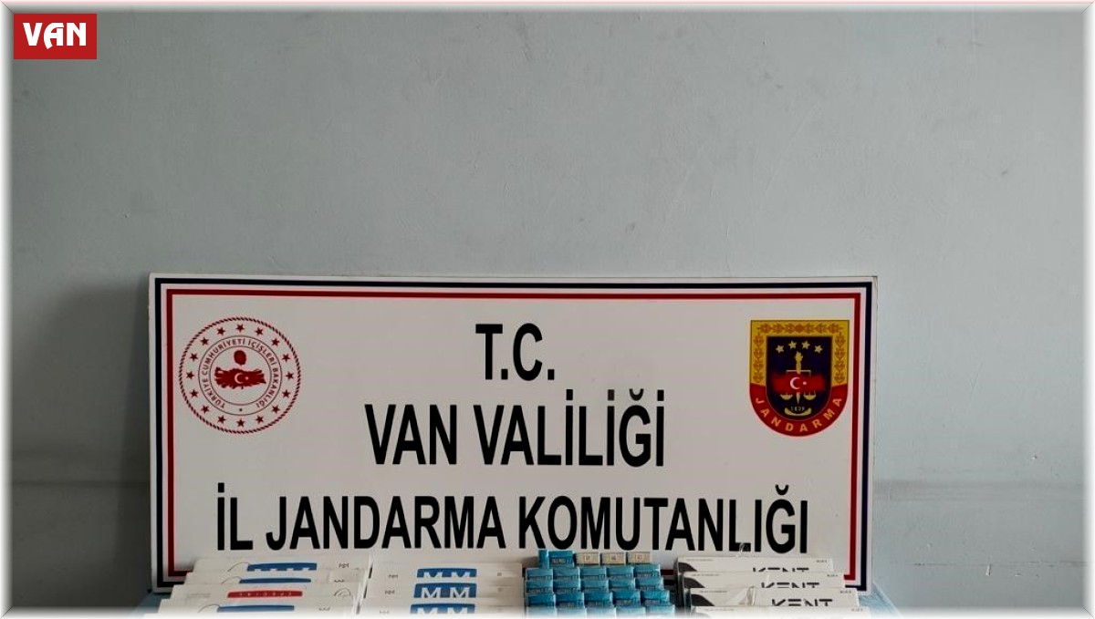 Van'da gümrük kaçakçılığı operasyonu