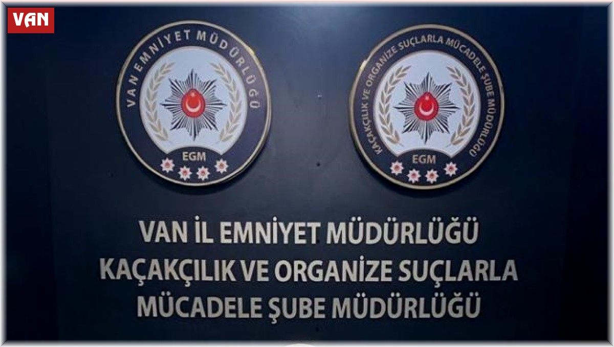 Van'da gümrük kaçakçılığı operasyonu
