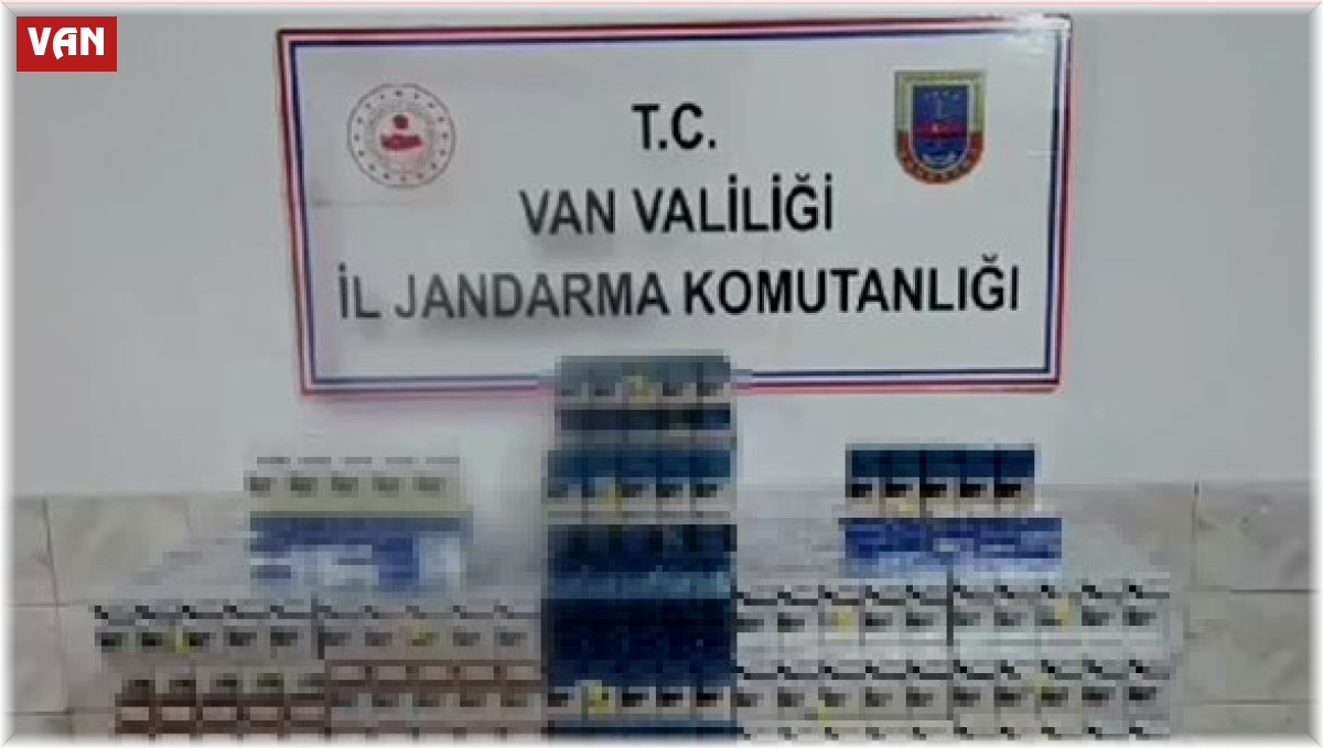 Van'da gümrük kaçakçılığı operasyonu