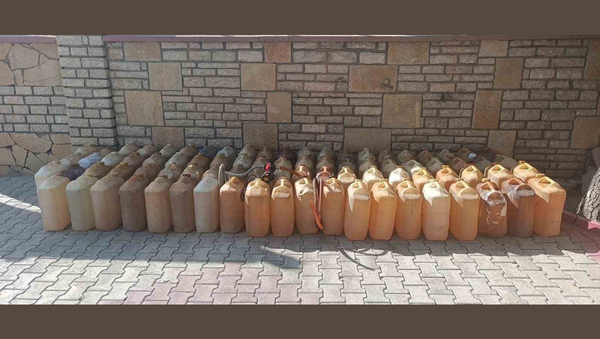 Van'da gümrük kaçakçılığı operasyonu
