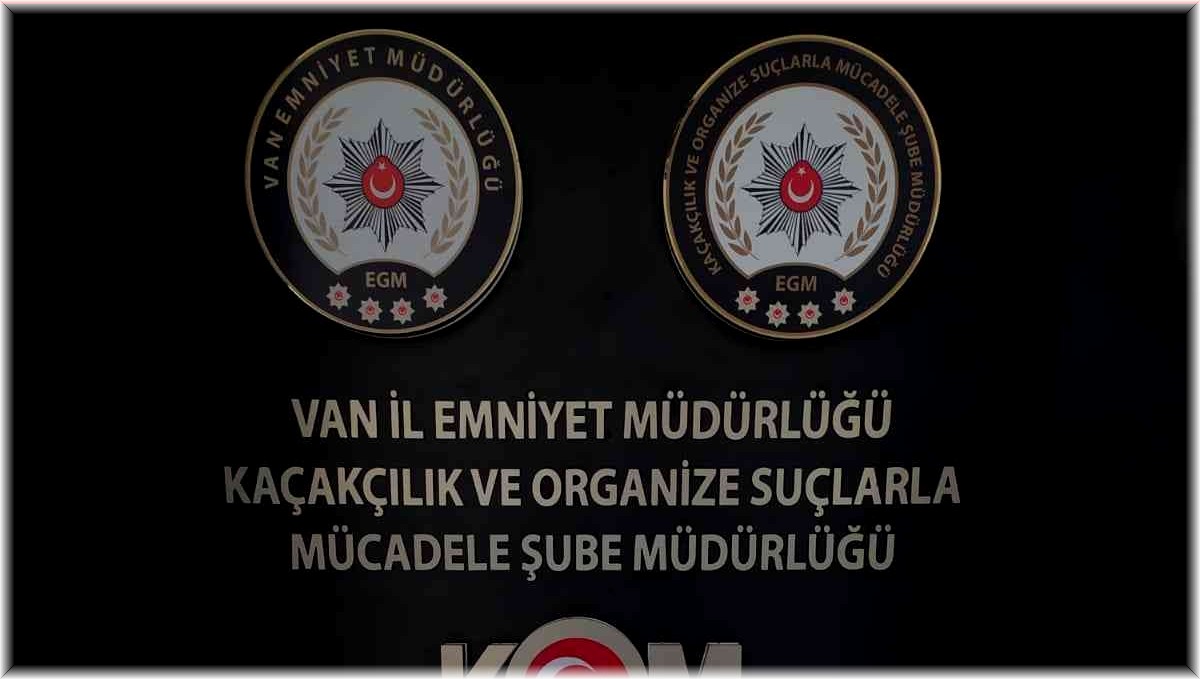 Van'da gümrük kaçakçılığı operasyonu